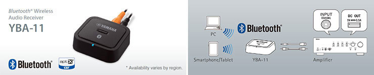 Adattatore opzionale Bluetooth