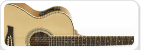 Corde acustiche