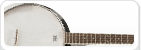 Corde Banjo