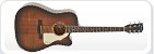 Acustica